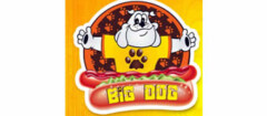 big-dog-lanches-porto-seguro-1382116986