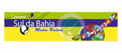 capoeira-sul-da-bahia-porto-seguro-1382434999