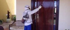 descupinizacao-porto-seguro-1382364694