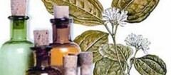 farmacias-de-homeopatia-porto-seguro-1382103801