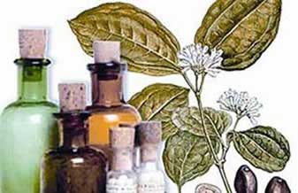 Arte Pharma - Foto 1