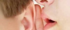 fonoaudiologos-porto-seguro-1382380231