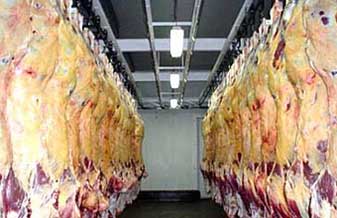 Novilhos Distr de Carnes e Derivados - Foto 1