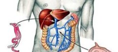 gastroenterologia-porto-seguro-1382438953