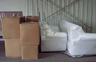 Transnovais - Foto 1