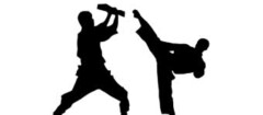 karate-porto-seguro-1382437285
