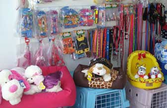Viva Pet Shop - Foto 1