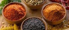produtos-naturais-e-Fitoterapicos-porto-seguro-1382107438