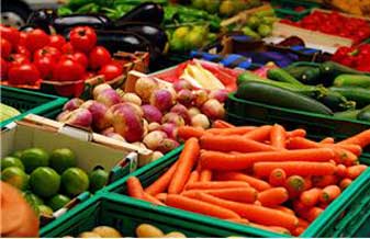Hort-Fruit - Foto 1