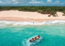 destinos mais buscados Bahia Verão 2026