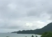 Previsão do Tempo Porto Seguro