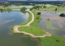 Prefeitura de Porto Seguro