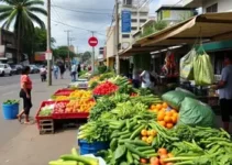 Avenida Porto Seguro