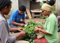 Programa Vida Melhor Urbano