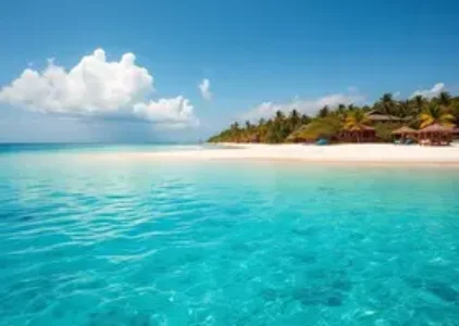 Últimas noticias de Porto Seguro