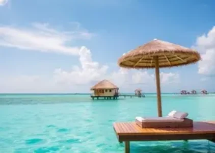 Últimas noticias de Porto Seguro