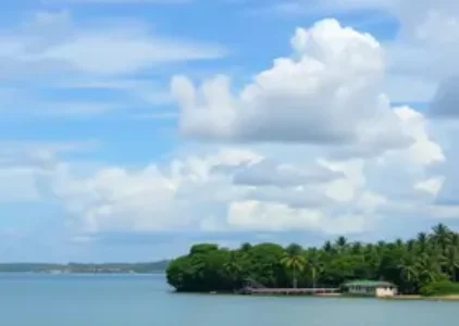 Últimas noticias de Porto Seguro