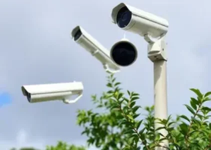 Últimas noticias de Porto Seguro