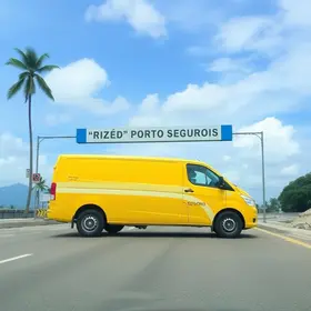 taxa de entrada de veículos em Porto Seguro