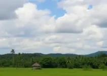 Vitória dos Pataxós