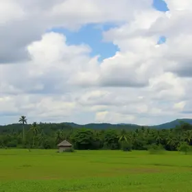 Vitória dos Pataxós