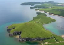 retirada de ocupantes de área de preservação em Porto Seguro