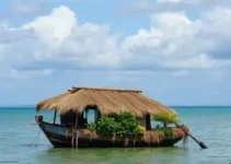 projeto ambiental de Carlinhos Brown