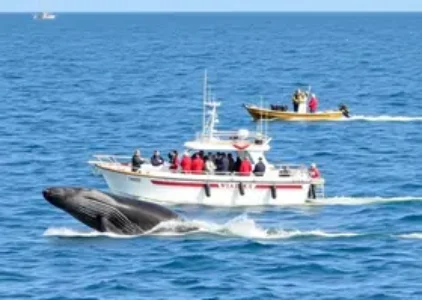 Últimas noticias de Porto Seguro