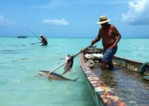 peixes invasores