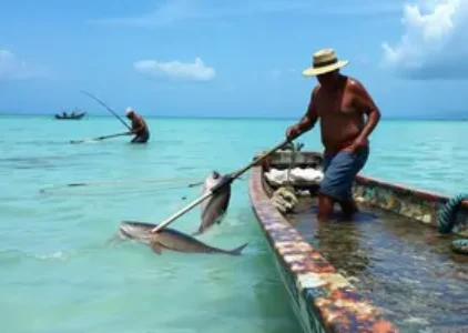 Últimas noticias de Porto Seguro