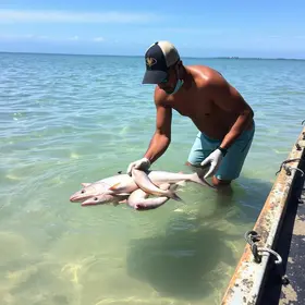 peixe invasor
