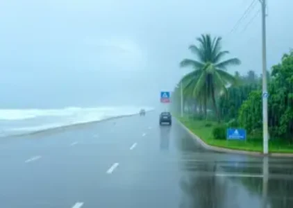 Últimas noticias de Porto Seguro