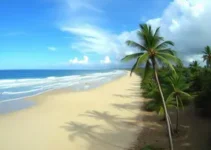 clima ao vivo