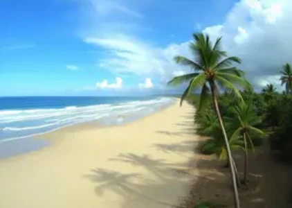 Últimas noticias de Porto Seguro