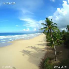 clima ao vivo