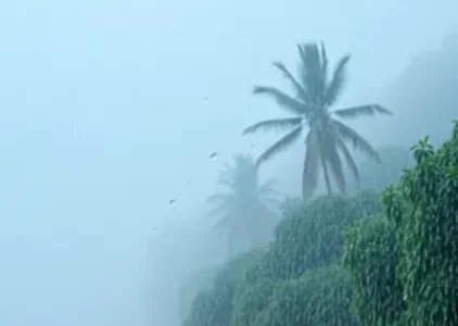 Últimas noticias de Porto Seguro