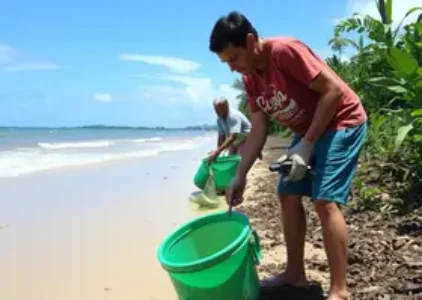 Últimas noticias de Porto Seguro