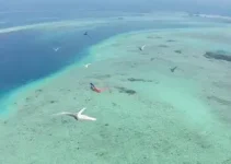 voos extras na Bahia