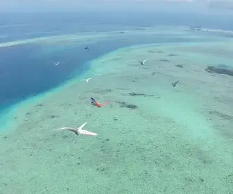 voos extras na Bahia