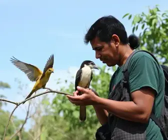 entrega de aves silvestres