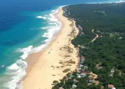 Últimas noticias de Porto Seguro