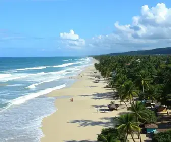 Porto Seguro 2026