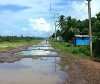 Sapirara em Trancoso