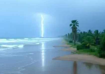 Últimas noticias de Porto Seguro