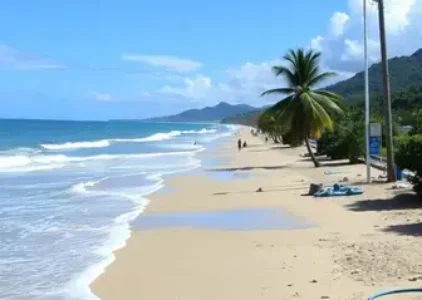 Últimas noticias de Porto Seguro