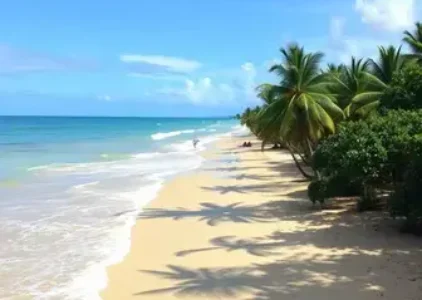 Últimas noticias de Porto Seguro